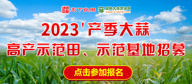 2023’產(chǎn)季大蒜高產(chǎn)示范田、示范基地招募啟示 ()