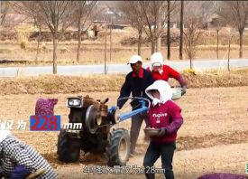 紅海危機(jī)使大蒜出口運費翻倍調(diào)高 ()