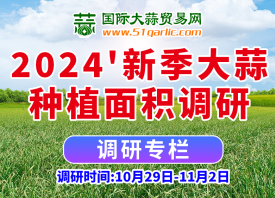 2024’大蒜種植面積有多大？ ()