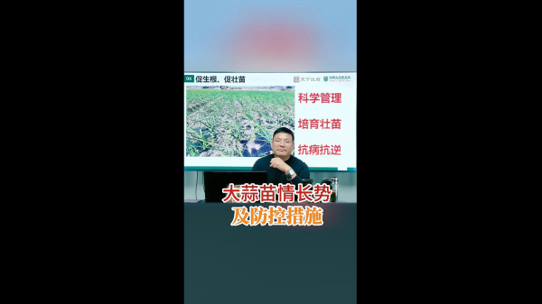 大蒜苗情長勢(shì)及防控措施 ()