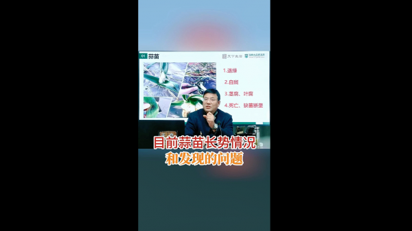 目前蒜苗長勢(shì)情況和發(fā)現(xiàn)的問題 ()