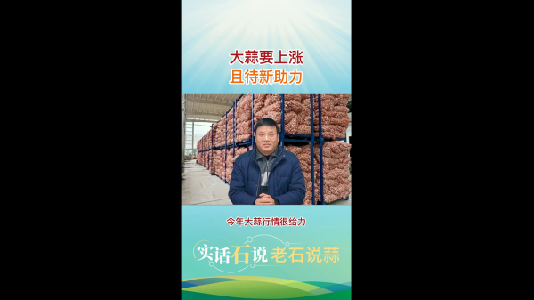 大蒜要上漲、且待新助力 ()