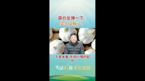 蒜價(jià)反彈一下怎么又掉了？ ()