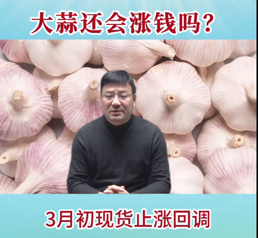 大蒜還會(huì)漲錢嗎？ ()